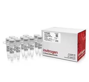 Invitrogen™ Platinum™ Taq DNA Polymerase