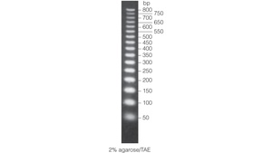 Promega 50bp DNA Step Ladder, 90μg