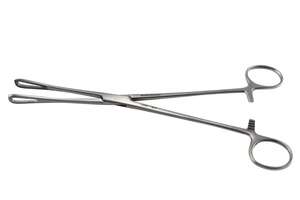 Stainless Steel Forceps, Sponge Holding Rampley