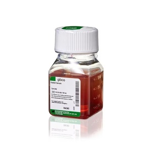 Thermo Scientific™ Gibco™ Rabbit Serum