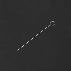 Inoculating Loops, Reusable