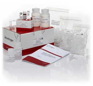 Thermo Scientific™ Arcturus™ PicoPure™ RNA Isolation Kit