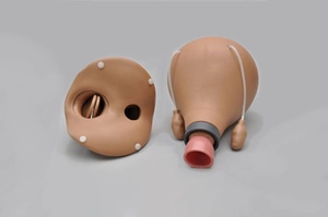 Gaumard 48-Hour Postpartum Uterus