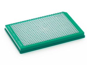 Thermo Scientific™ PCR Plate, 384-well, standard