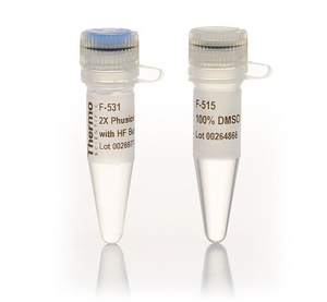 Thermo Scientific™ Phusion High-Fidelity PCR Master Mix with HF Buffer