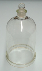 Clear Glass Bell Jar, with Ground-in Glass Stopper