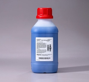 Thermo Scientific™ PageBlue™ Protein Staining Solution, 1L