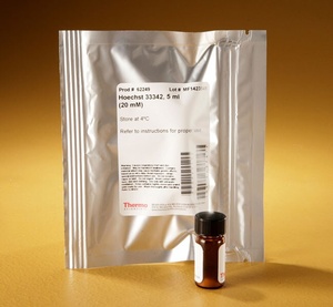 Thermo Scientific™ Pierce™ Hoechst 33342 Solution (20 mM), 5mL