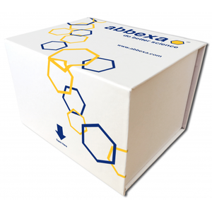 Abbexa Human West Nile Virus ELISA Kit