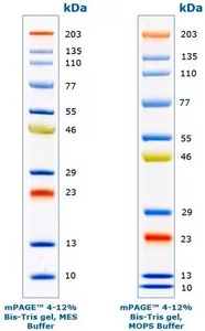 Sigma-Aldrich mPAGE® Color Protein Standard,  500 μL