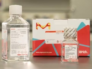 Sigma-Aldrich Human Serum