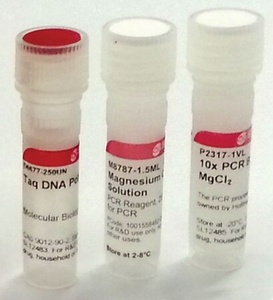 Sigma-Aldrich Taq DNA Polymerase from Thermus aquaticus