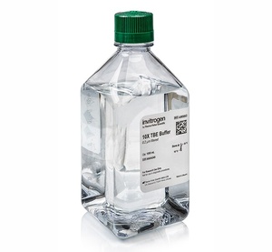 Thermo Scientific™ Invitrogen™ TBE (10X), RNase-free