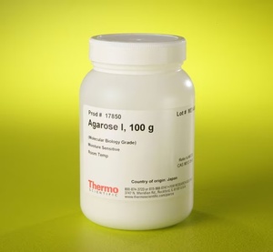 Thermo Scientific™ Agarose I (Molecular Biology Grade)