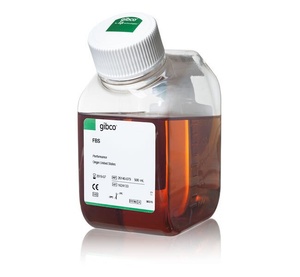 Thermo Scientific™ Gibco™ Fetal Bovine Serum FBS, Qualified, heat inactivated, Brazil