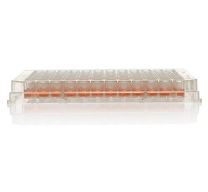 Thermo Scientific™ Nunc™ MicroWell™ 96-Well Microplates, Sterile without lid