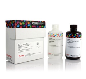 Thermo Scientific™ SuperSignal™ West Pico PLUS Chemiluminescent Substrate