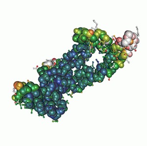 Ray Biotech P.falciparum MSP-1 Recombinant Protein, 1mg