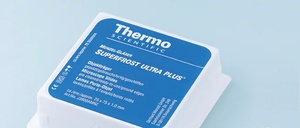 Epredia™ SuperFrost Ultra Plus™ GOLD Adhesion Slides