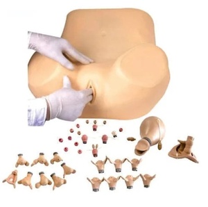 GD Gyneacologic Simulator with removable Uterus