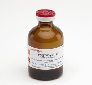 Gibco™ Hygromycin B (50 mg/mL)