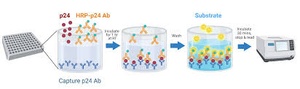 Lenti-X™ p24 Rapid Titer Kit (Single Wash)