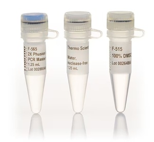 Thermo Scientific™ Phusion Hot Start II High-Fidelity PCR Master Mix