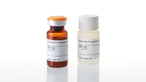 Bright-Glo™ Luciferase Assay System
