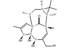 Ingenol 99.78%, 1mg