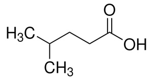 Thermo Scientific™ 4-Methylvaleric acid ≥99%