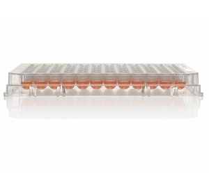 Nunc™ 96 Well Round (U) Bottom Plate, TC Surface