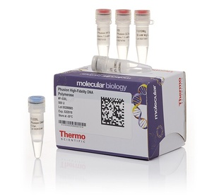 Thermo Scientific™ Phusion™ High-Fidelity DNA Polymerase (2 U/μL)