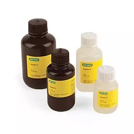TGX™ FastCast™ Acrylamide Kit, 10%