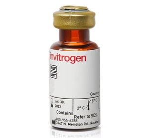 Invitrogen™ Streptavidin - HRP