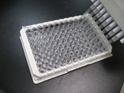 QuickTiter™ Hepatitis B Surface Antigen (HBsAg) ELISA Kit