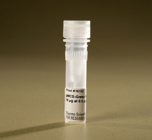 Pierce™ pMCS-Green Renilla Luc Vector for Luciferase Assays, 10 µg