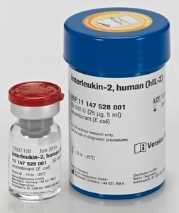 HIL2-RO Human Interleukin-2, 95% (SDS-PAGE)