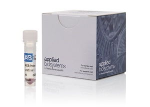 Applied Biosystems™ TaqMan™ QSY Probe with HPLC Purification