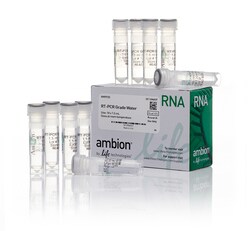 Invitrogen™ RT-PCR Grade Water, 10 x 1.5 mL