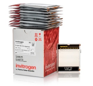 Invitrogen™ E-Gel™ EX Agarose Gels