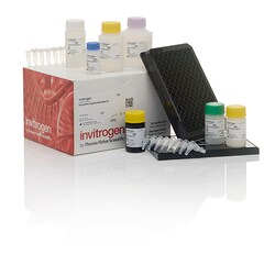 Invitrogen™ ProcartaPlex™ Human Inflammation Panel, 20plex, 96 Tests