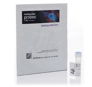 Invitrogen™ Alexa Fluor™ 647 Phalloidin, 300U