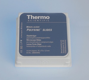 Epredia™ Polysine®Adhesion slides, Menzel Gläser