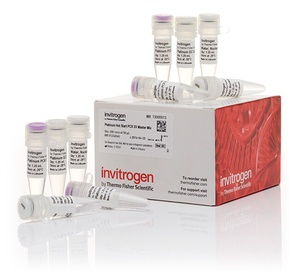 Invitrogen™ Platinum™ Hot Start PCR Master Mix (2X)