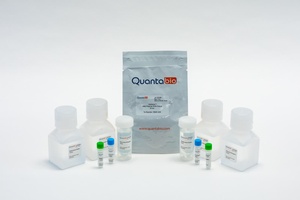 Extracta™ DNA prep for PCR - tissue