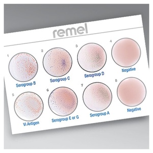Thermo Scientific™ Wellcolex™ Color Shigella Kit, for 50 Tests