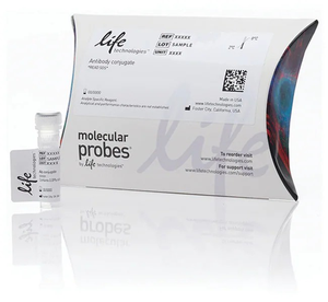 Invitrogen™ Goat anti-Human IgG Fc Secondary Antibody, HRP, 1mg