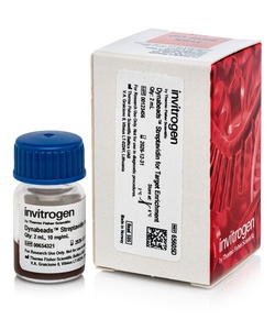 Invitrogen™ Dynabeads™ Streptavidin for Target Enrichment