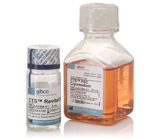 Gibco™ CTS™ PSC Cryopreservation Kit with 10% DMSO