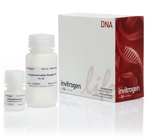 Invitrogen™ GeneArt™ Cryopreservation Kit for Algae, for 100 preps